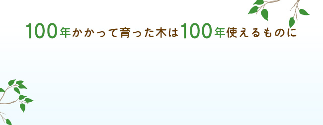 100年かかって育った木は100年使えるものに