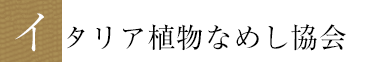 イタリア植物なめし協会