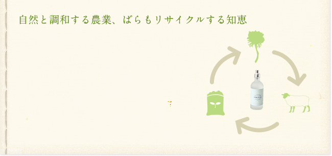 自然と調和する農業、ばらもリサイクルする知恵